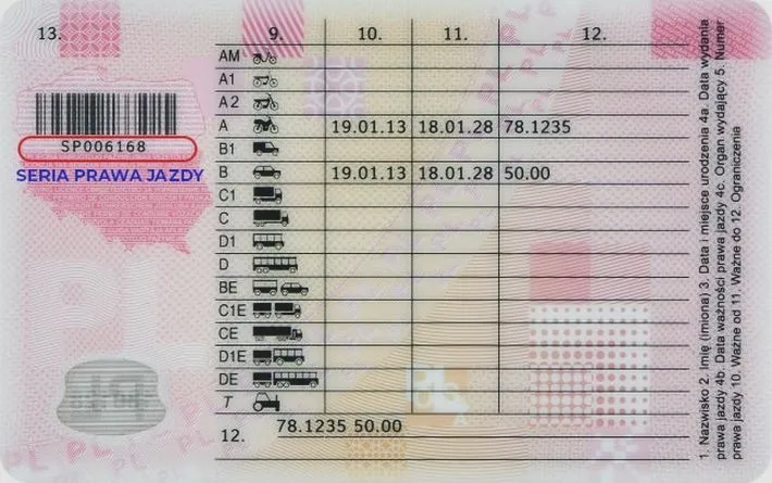 Zdane prawo jazdy – co możesz robić za jego pomocą?