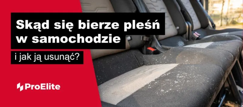Chemiczne metody usuwania pleśni