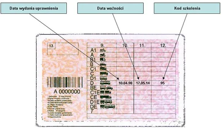 Jak sprawdzić ważność prawa jazdy