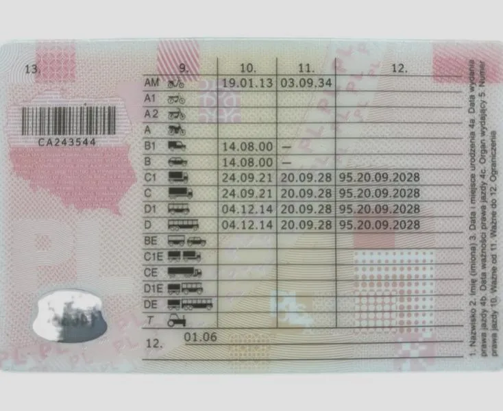 Konsekwencje braku prawa jazdy