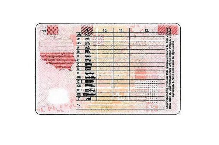 Korzyści dla młodych kierowców