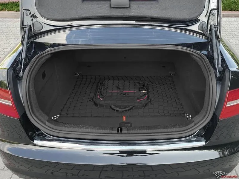 Ochrona elektroniki Audi