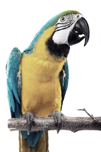 Stawki za taxi w Perrot