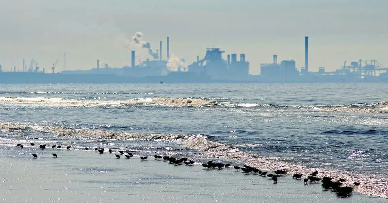 Wybór taxi w Dunkierce