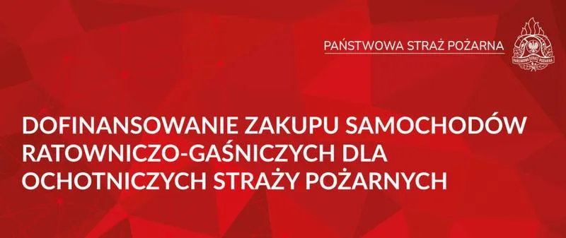 Zakupy samochodów w Polsce