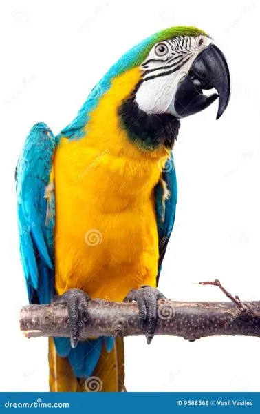 Zamawianie taxi w Perrot